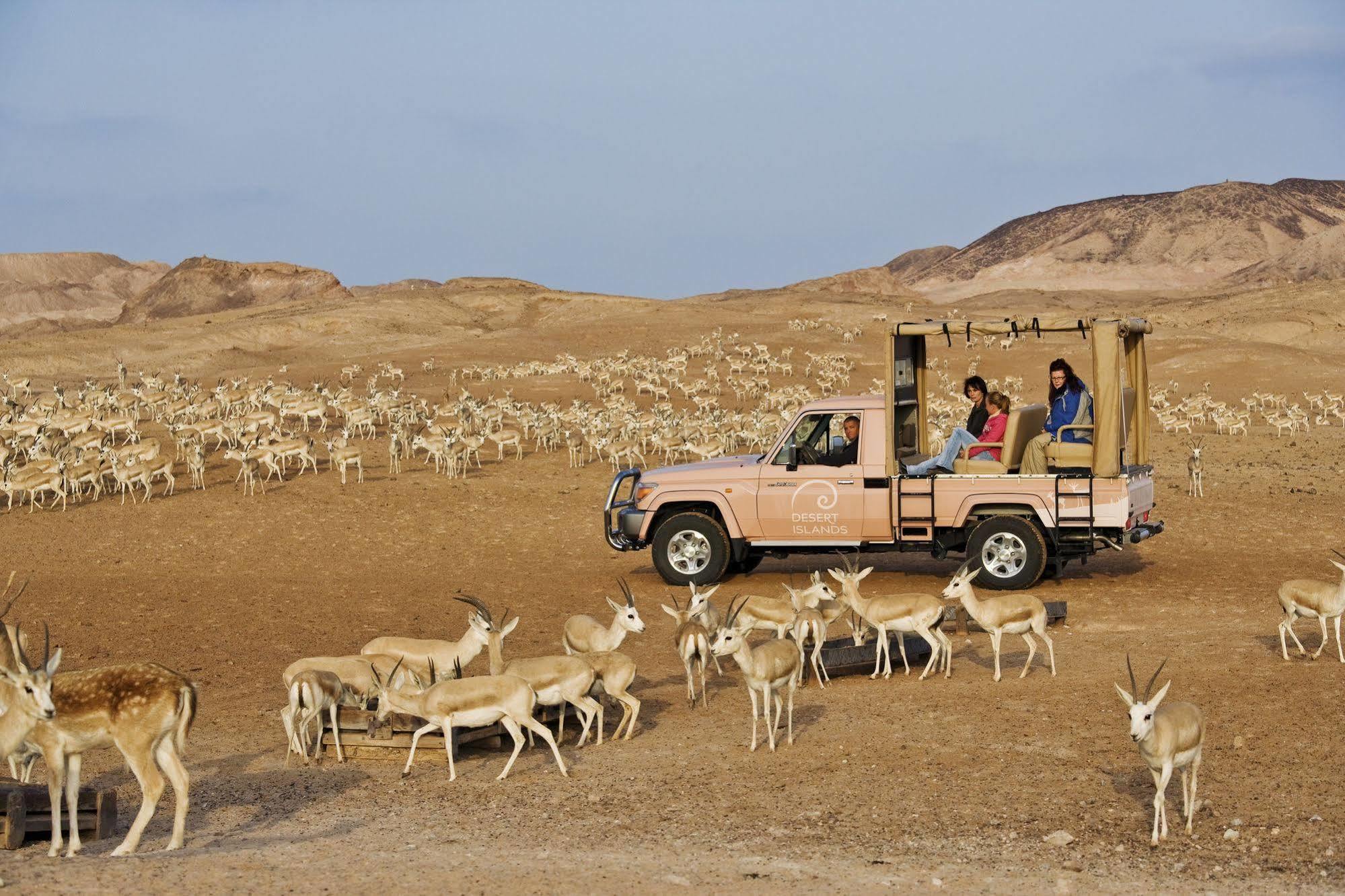 Anantara Sir Bani Yas Island Al Sahel Villas Zahr Екстер'єр фото