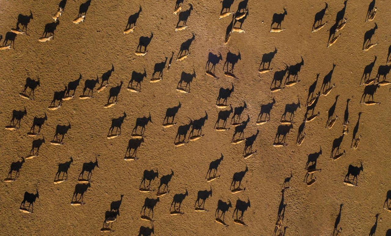 Anantara Sir Bani Yas Island Al Sahel Villas Zahr Екстер'єр фото
